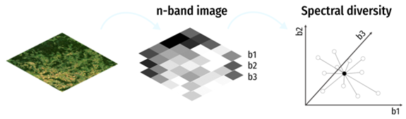 Spectral diversity beyond the Spectral Variation Hypothesis: what comes next?